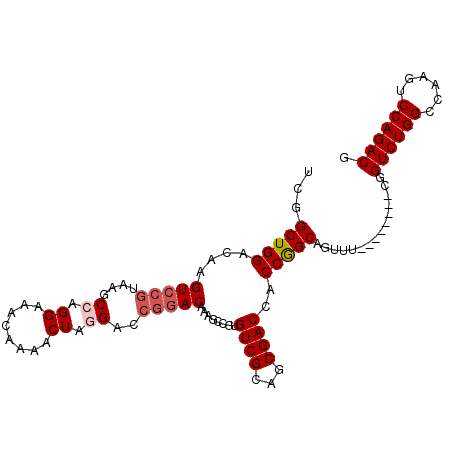 secondary structure