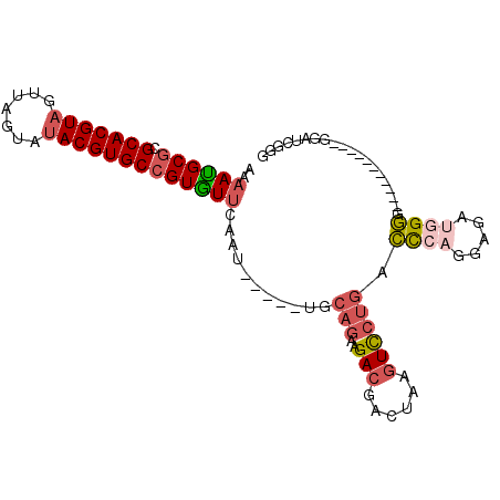 secondary structure