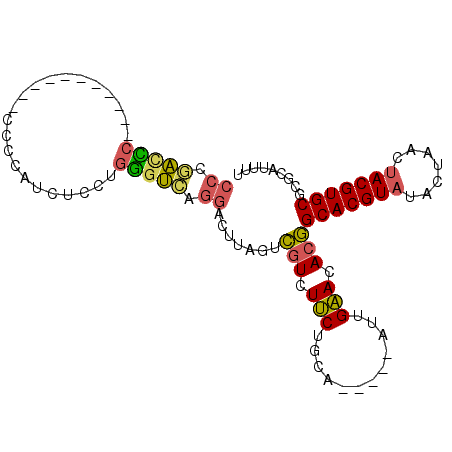 secondary structure