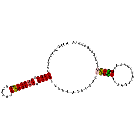 secondary structure