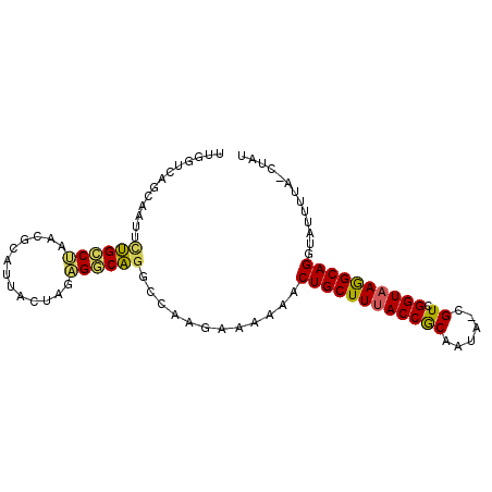 secondary structure