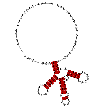 secondary structure