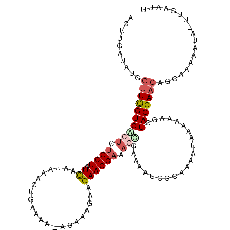 secondary structure