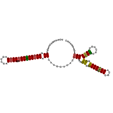 secondary structure