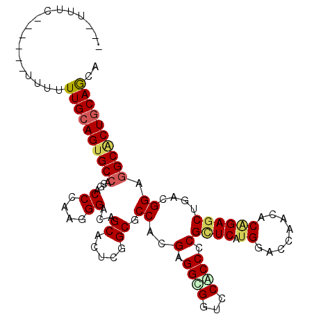 secondary structure