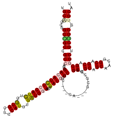 secondary structure