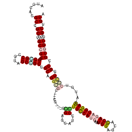 secondary structure