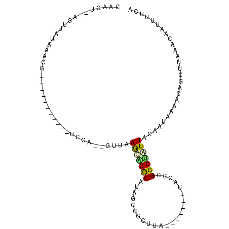 secondary structure