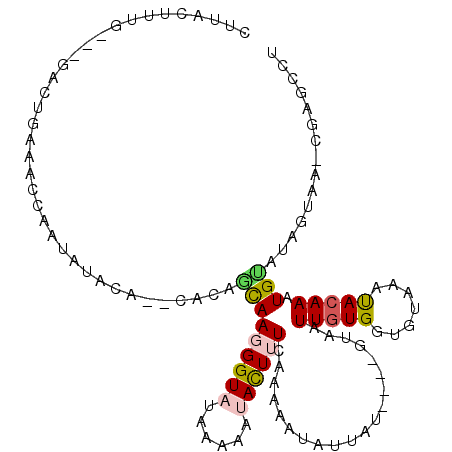 secondary structure