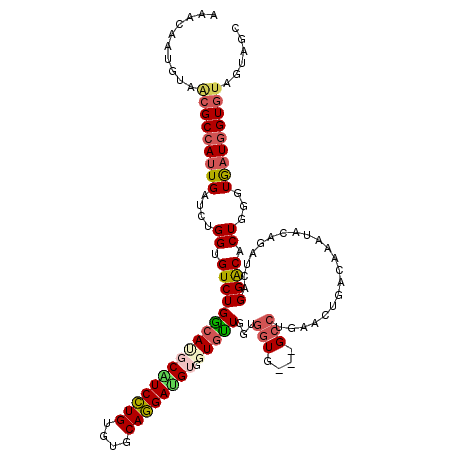 secondary structure
