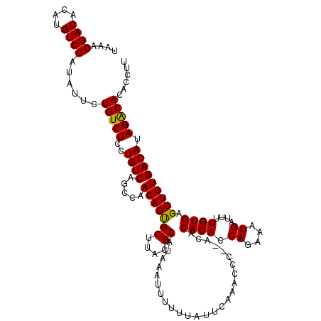 secondary structure