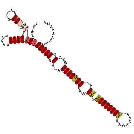 secondary structure