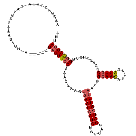 secondary structure