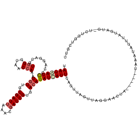 secondary structure