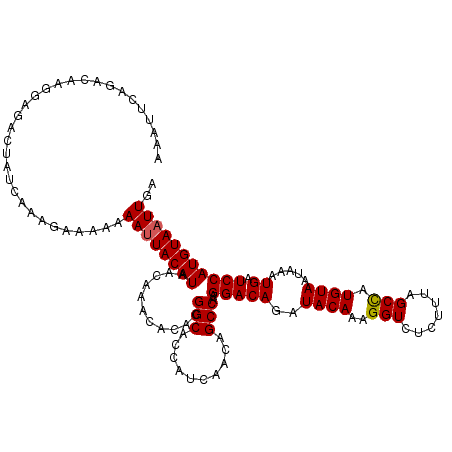 secondary structure