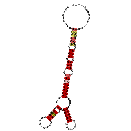 secondary structure