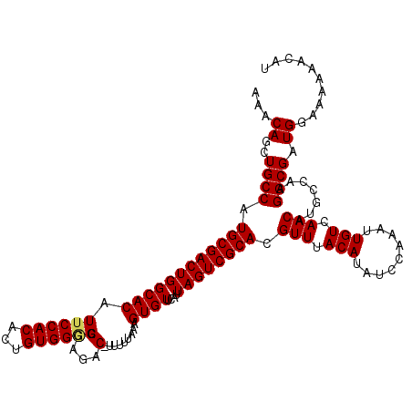 secondary structure