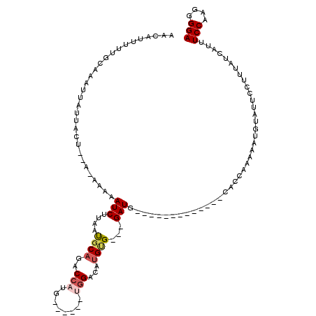 secondary structure