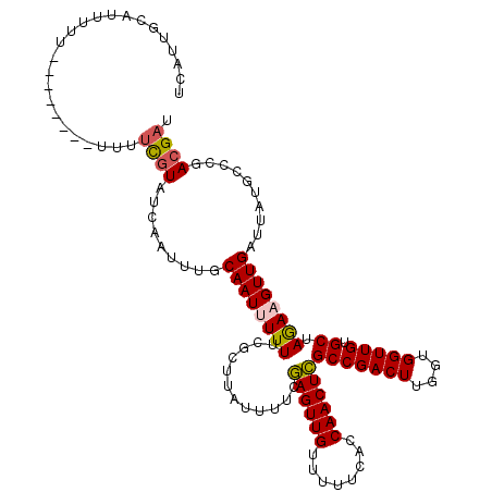 secondary structure