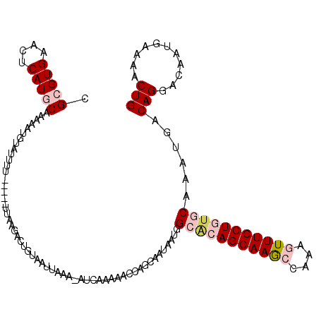 secondary structure