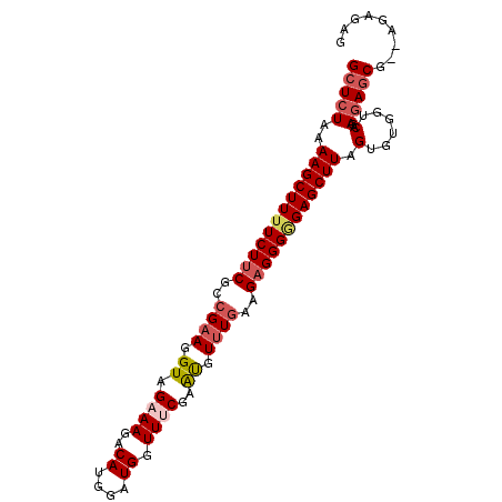 secondary structure