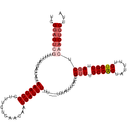 secondary structure