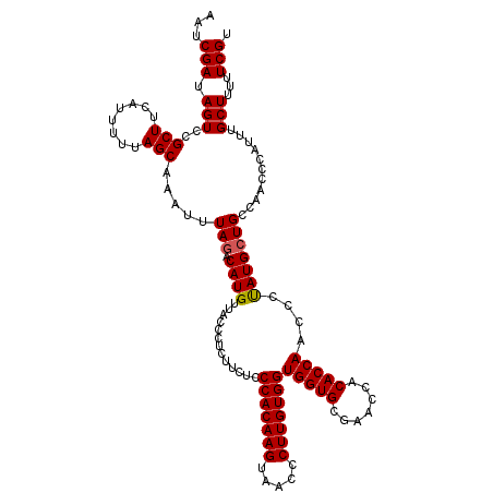 secondary structure