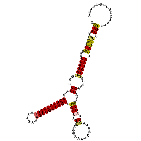 secondary structure