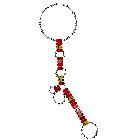 secondary structure