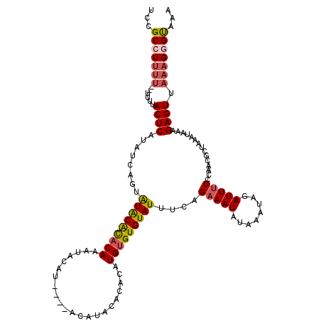 secondary structure