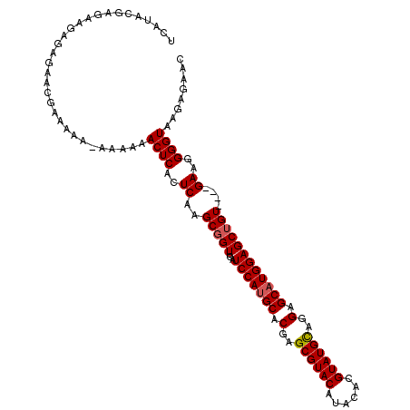 secondary structure