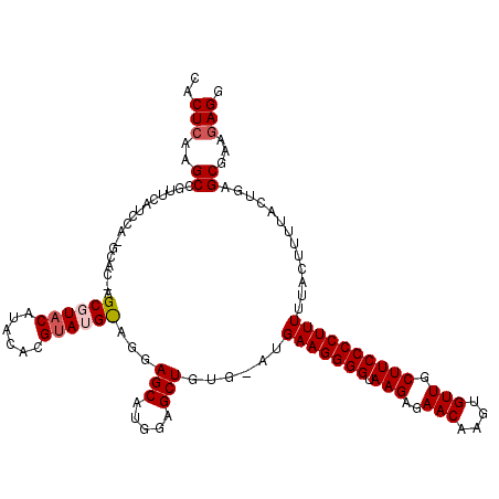 secondary structure