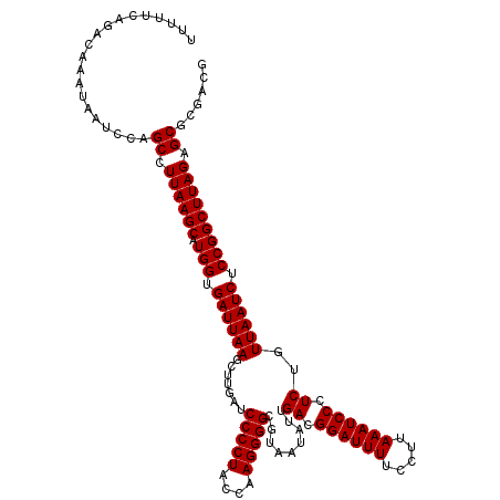 secondary structure