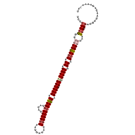 secondary structure