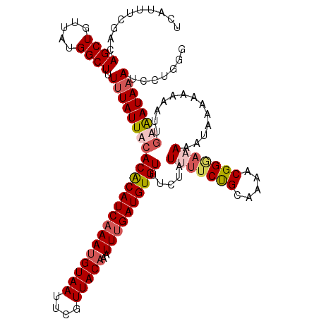 secondary structure