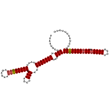 secondary structure