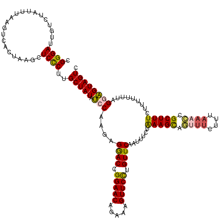 secondary structure