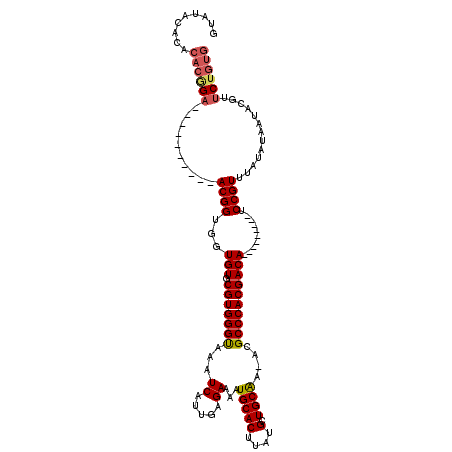 secondary structure