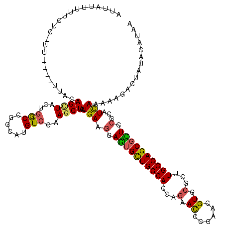 secondary structure