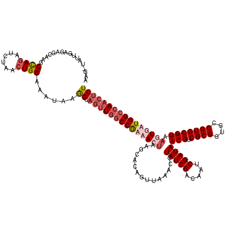 secondary structure