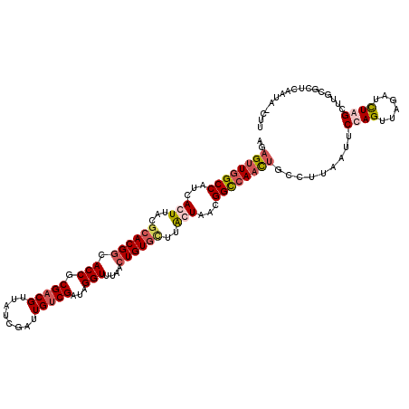 secondary structure