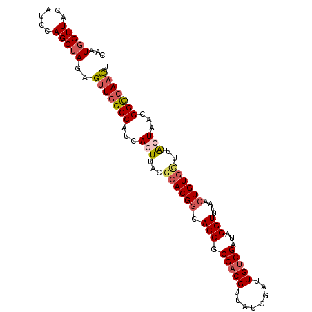 secondary structure