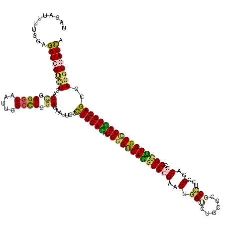 secondary structure