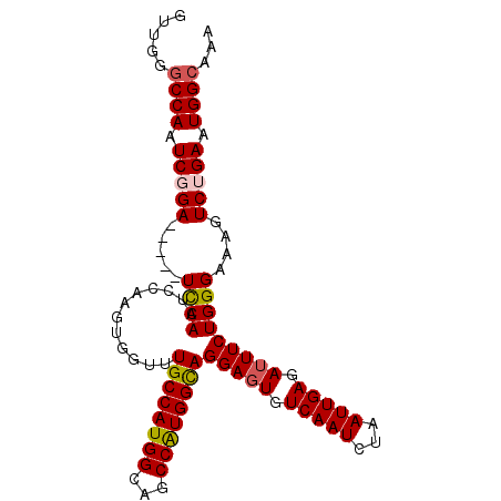secondary structure