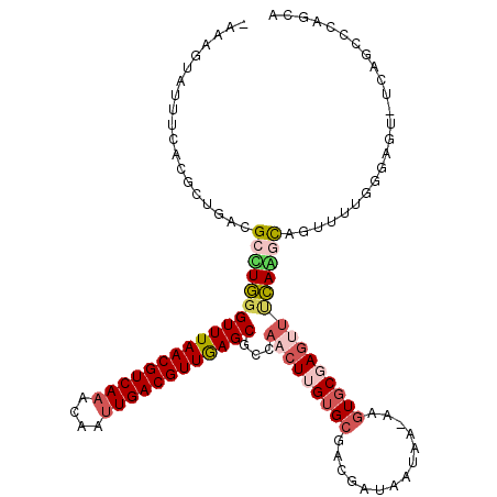 secondary structure