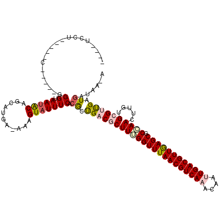 secondary structure
