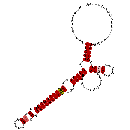 secondary structure