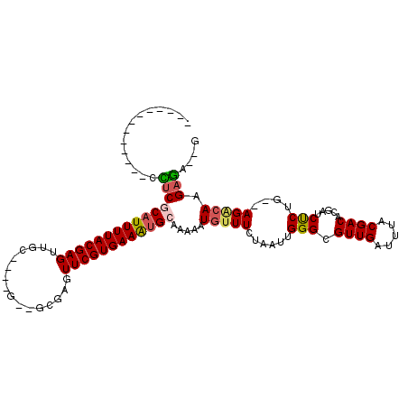 secondary structure