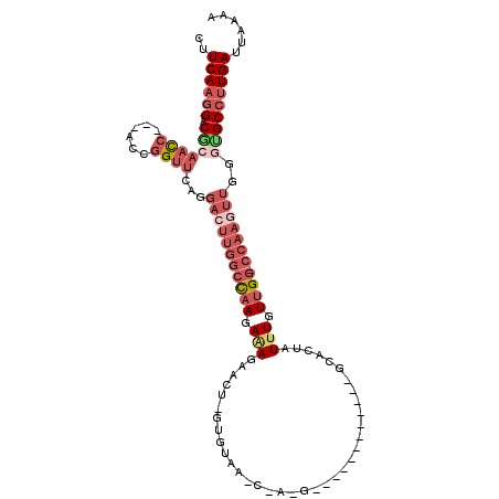 secondary structure