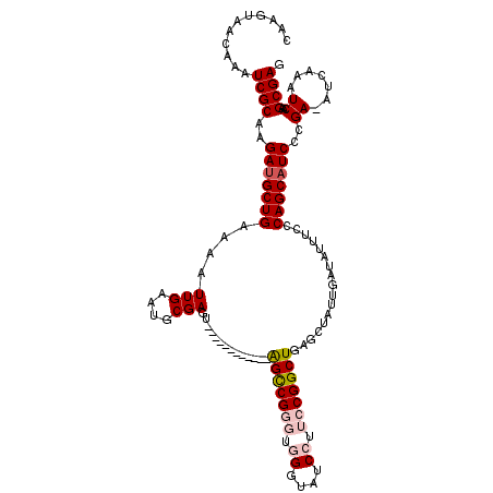 secondary structure